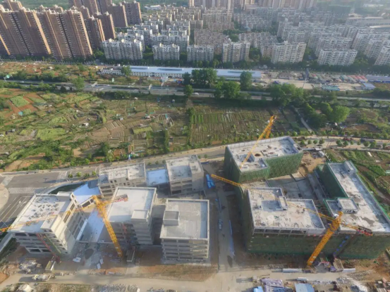 米博体育app下载