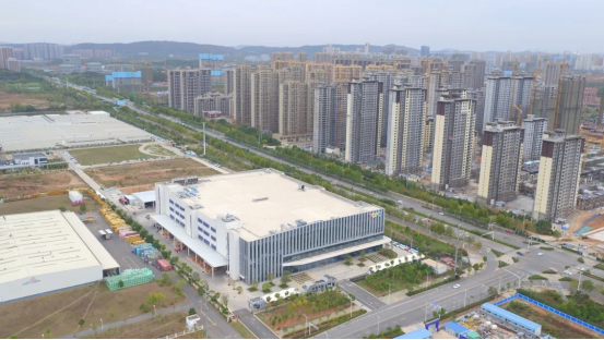 米博体育app下载