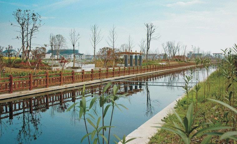 米博体育app下载