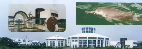 米博体育app下载