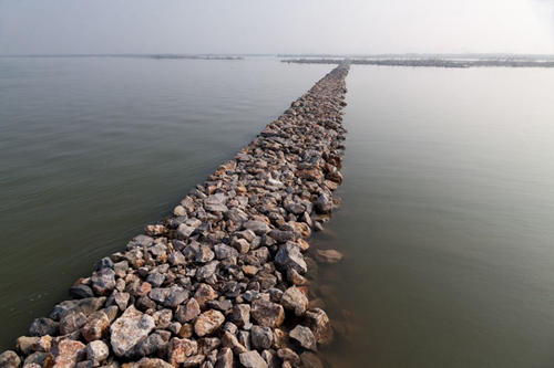 米博体育app下载