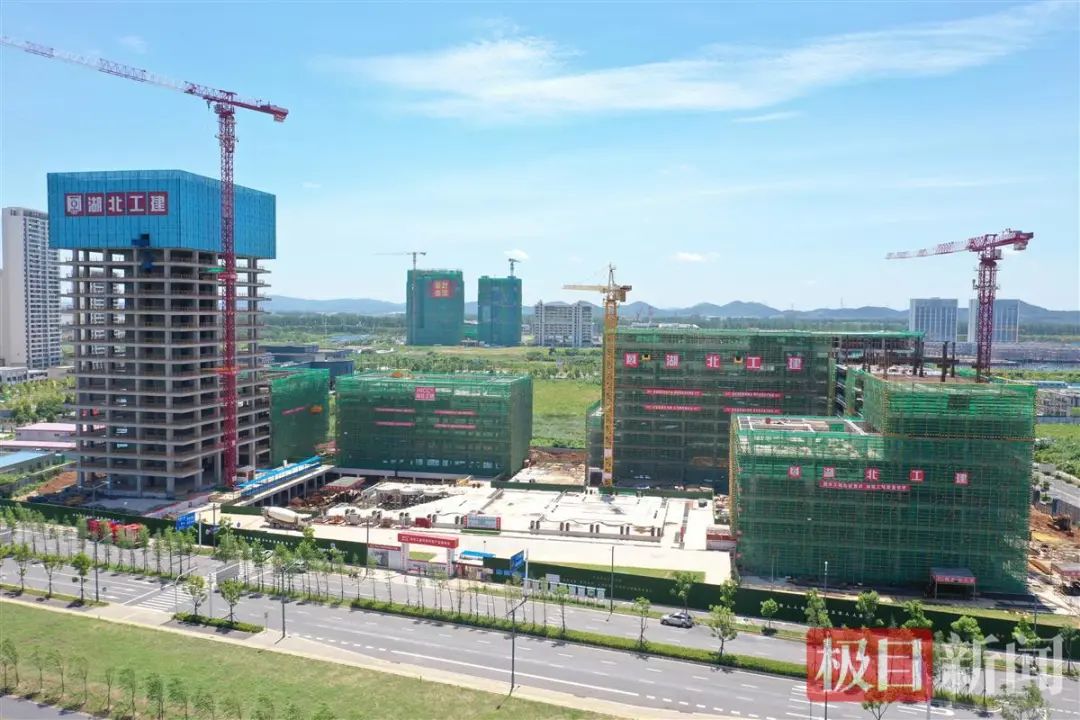 米博体育app下载