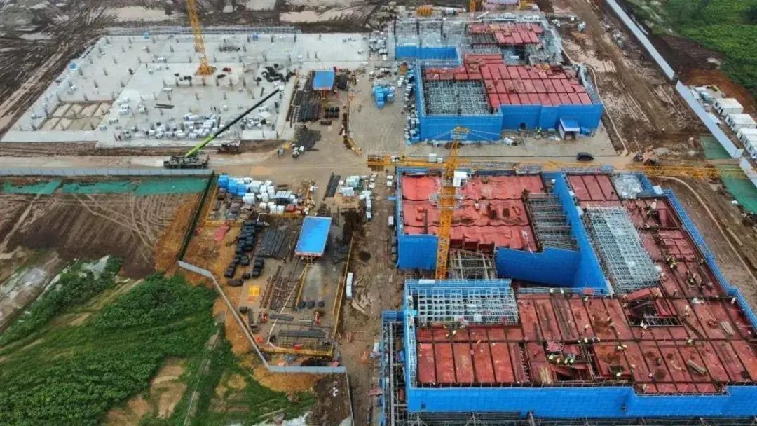 米博体育app下载