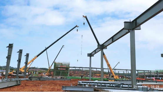 米博体育app下载